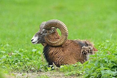 风火轮拓展包携手新车来袭《极限竞速：地平线5》系列9上线